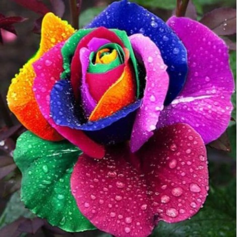 Rainbow Flower Diamond Painting