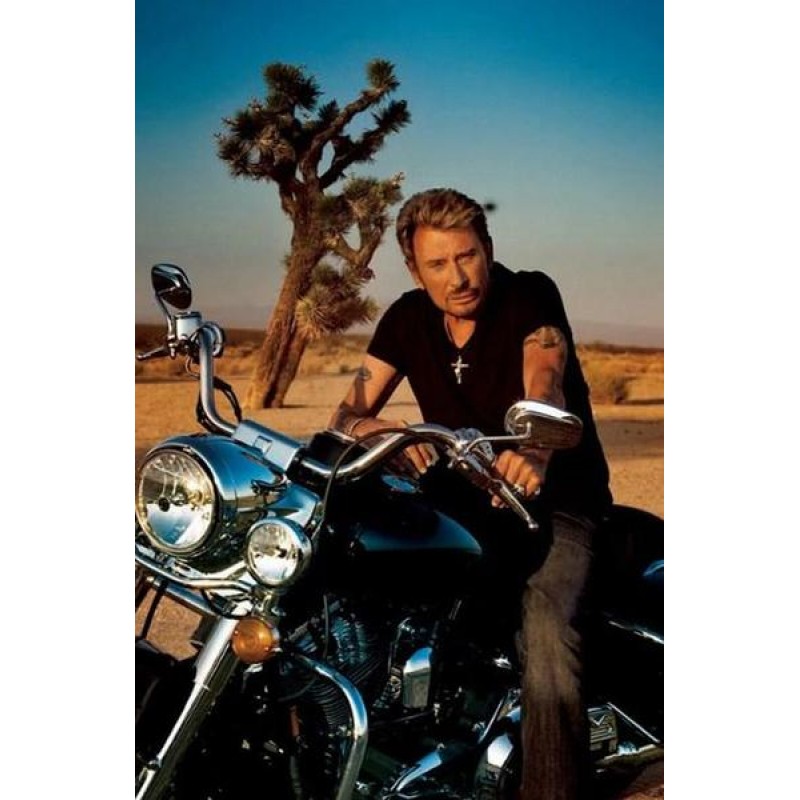 Johnny Hallyday - Di...