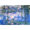 Feast of Leafs - Claude Monet