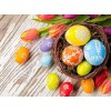 Easter Eggs & Tulips