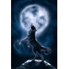 Howling Wolf- Painting with Diamond