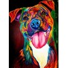 Colorful Dog