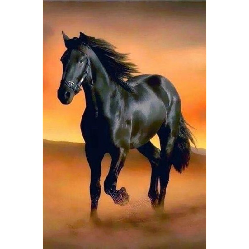 Black Horse Running ...