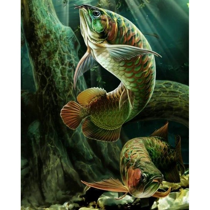 Beautiful Fish- pain...