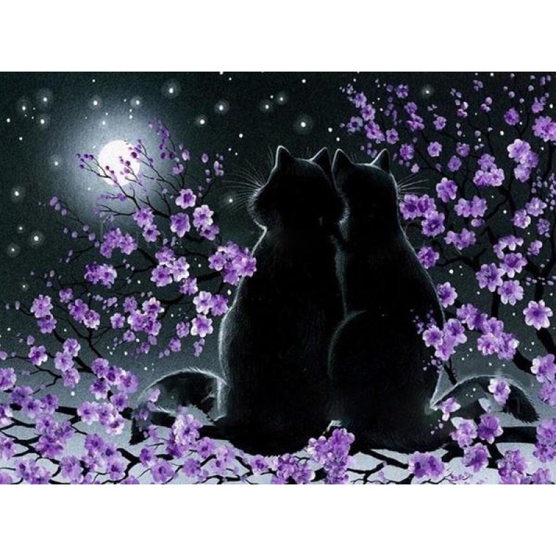 Romantic black cats