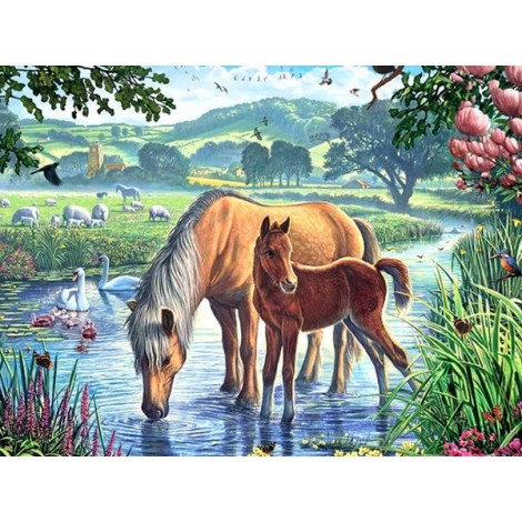 View of Forest