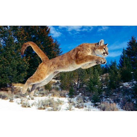 Jumping Lion-Painting with Diamond