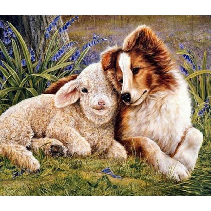 Sheep & Dog Frie...