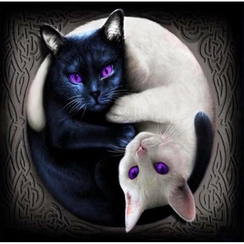 Yin Yang Cats with P...