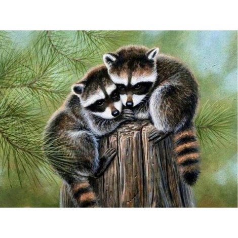 Wild Raccoons - Diamond Painting Kit