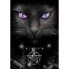 Wicked Cat - Paint by Diamonds