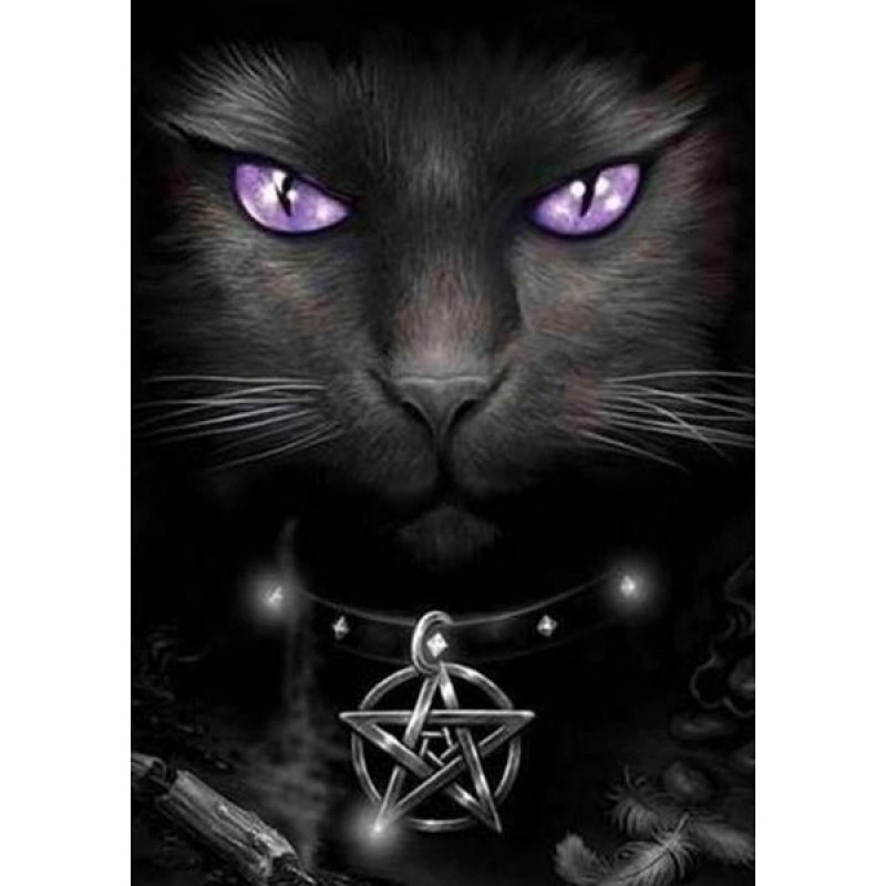 Wicked Cat - Paint b...