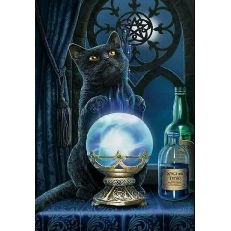 The Wizard Cat by Lisa Parker