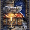 The Tabby Cat - Diamond Painting Kit