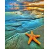 The Starfish on the Beach