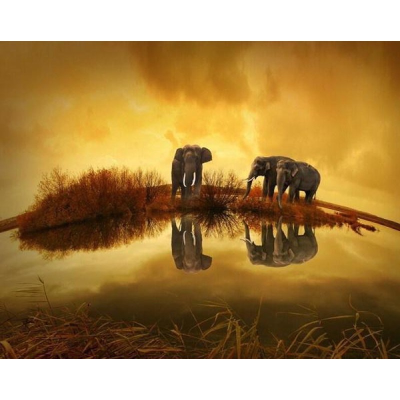 Thailand Elephants -...