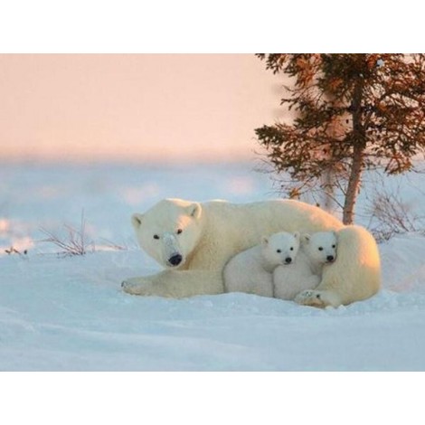 Snow Bear with Cubs - Paint by Diamonds