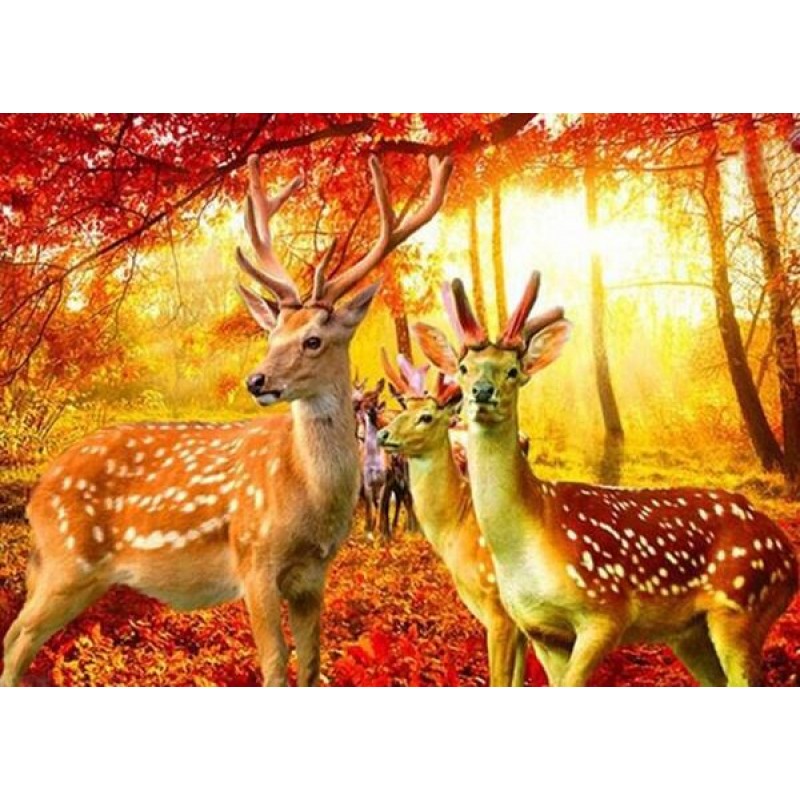 Red Autumn Forest &a...