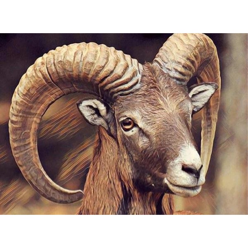 Mountain Goat with B...