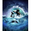 Killer Whales Rolling in the Ocean