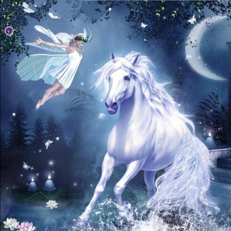 Flying Fairy & F...