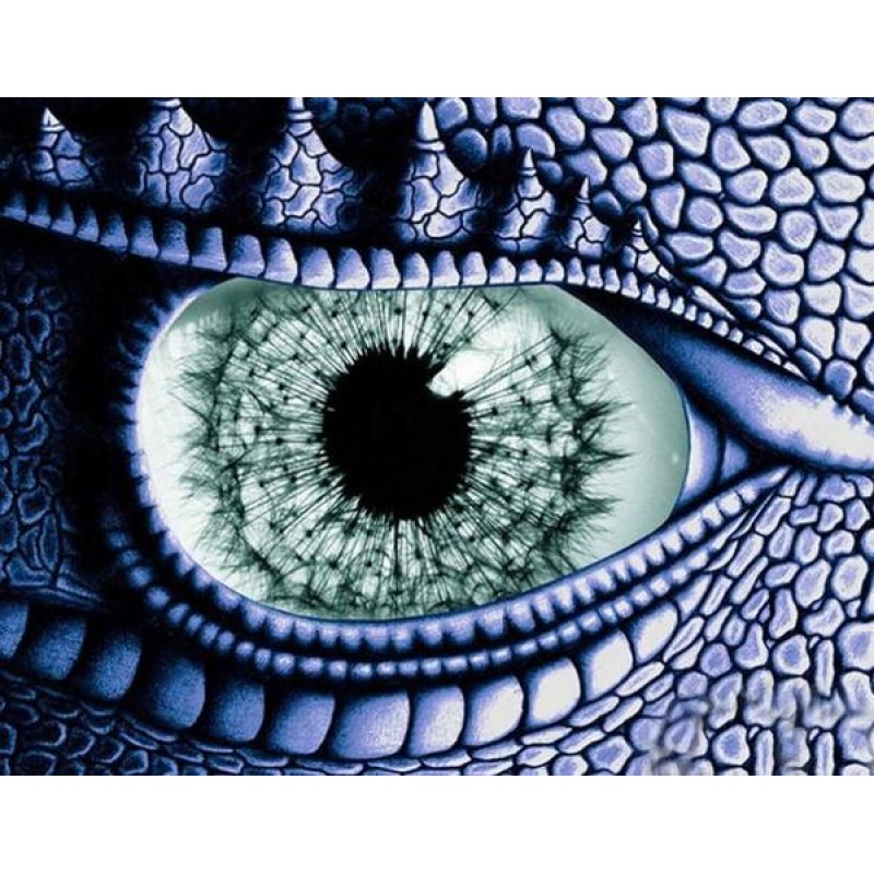 Dragon Eye - Paint b...
