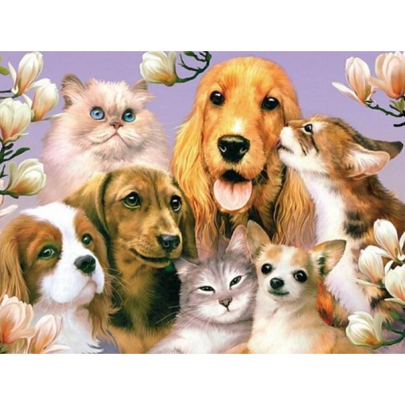 Dogs & Cats are ...