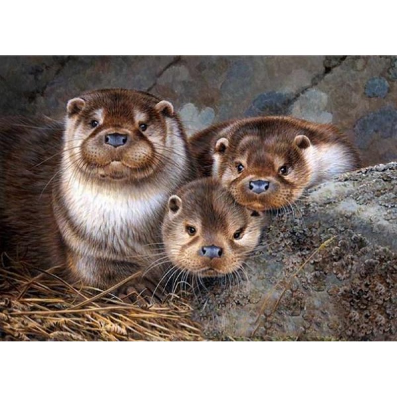 Cute Otter Babies - ...