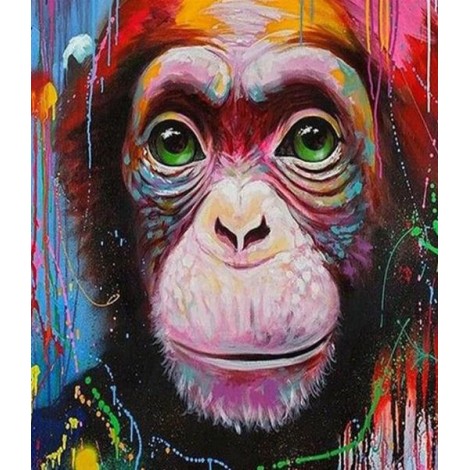 Cute Monkey with Green Eyes