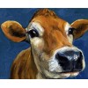 Cow Face Close up Diamond Painting
