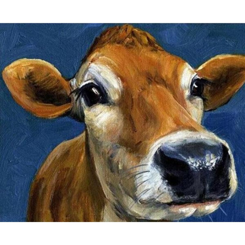 Cow Face Close up Di...