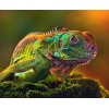 chameleon Close up - Paint by Diamonds