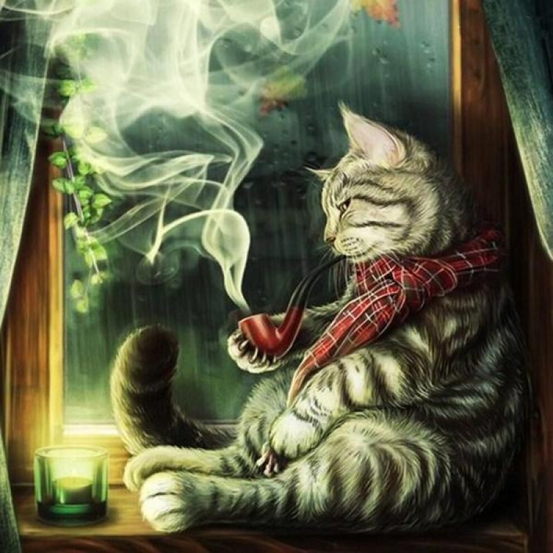 Cat Smoking Cigar - ...