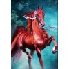 Beautiful Red Horse - Paint by Diamonds