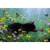 Bear Cub in the Garden