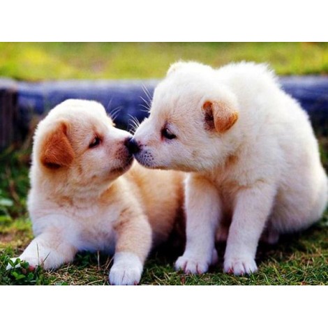 Puppies Kissing - Paint with Diamonds