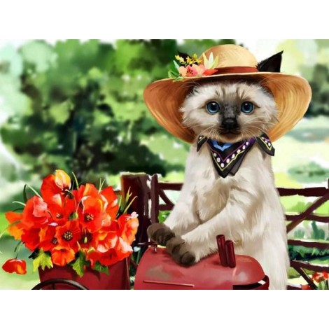 Miss Kitty Wearing Hat