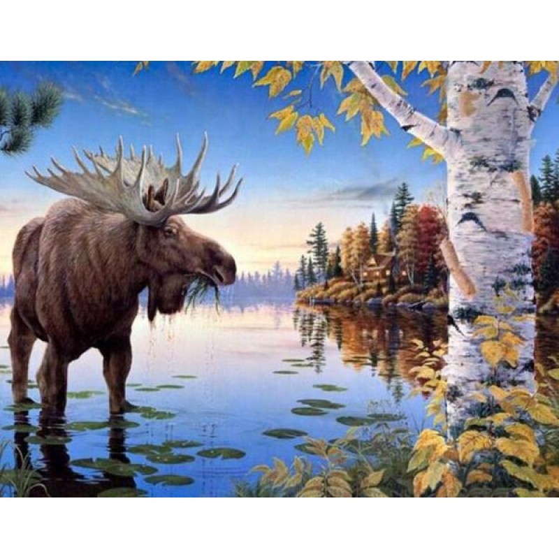 Lonely Moose - Paint...