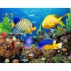 Fish Aquarium - Paint with Diamonds