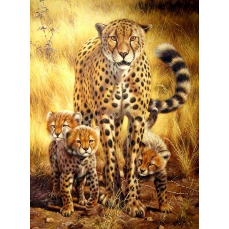Cheetah Family - Pai...