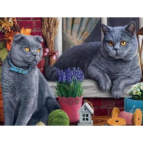 British Short Hair Cats - Diamond Painting Kit