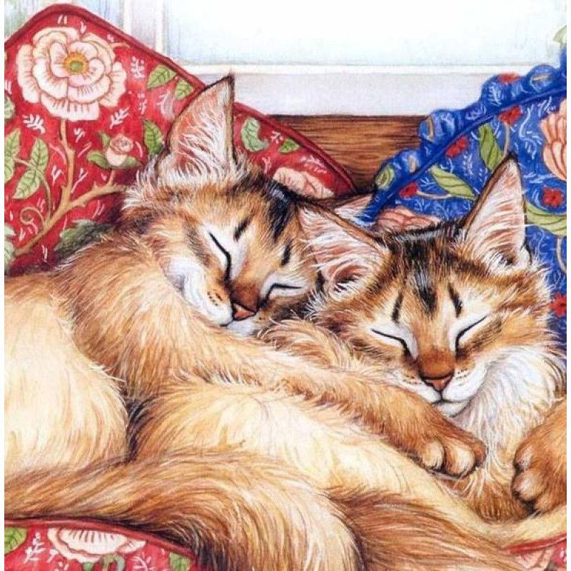 Sleeping Cats - Diam...