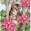 Pink Flowers & Spying Cat