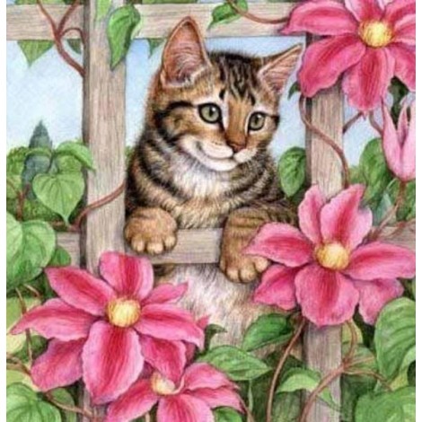 Pink Flowers & Spying Cat