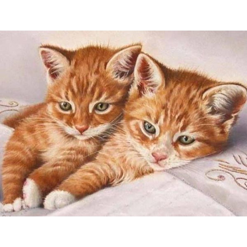Ginger Cat Pair - Di...