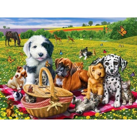 Dogs & Cats on Picnic