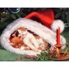 Cats Sleeping in Christmas Hat