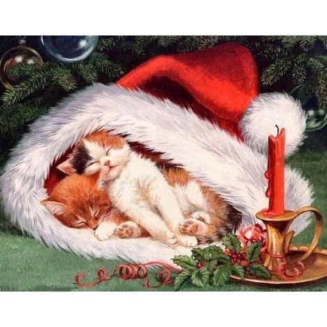 Cats Sleeping in Christmas Hat