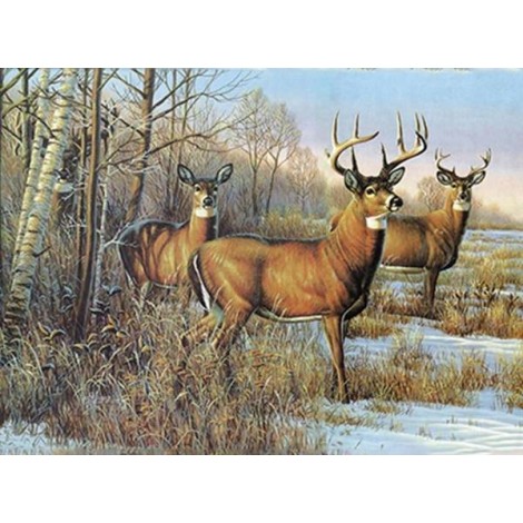 Buck Deer and Doe Diamond Painting