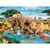 Elephant Babies Playing at Water Pond